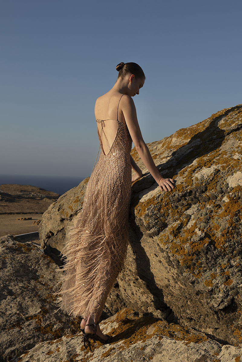 DRESS WITH CRYSTAL DETAILS AND FEATHERS